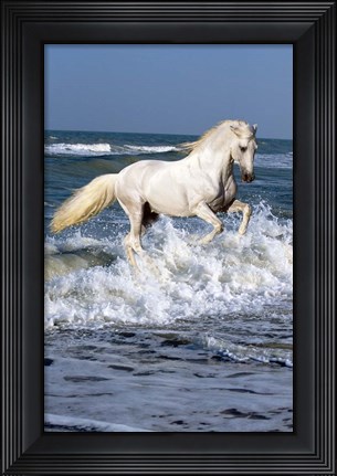 Framed Andalusian Sea Print