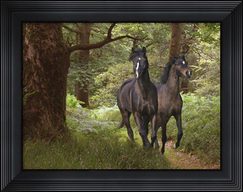 Framed Best Friends Print