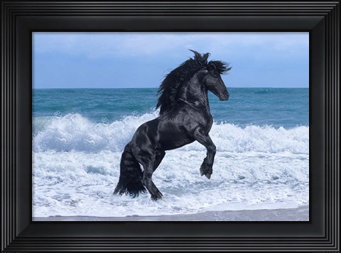 Framed Black Knight Print