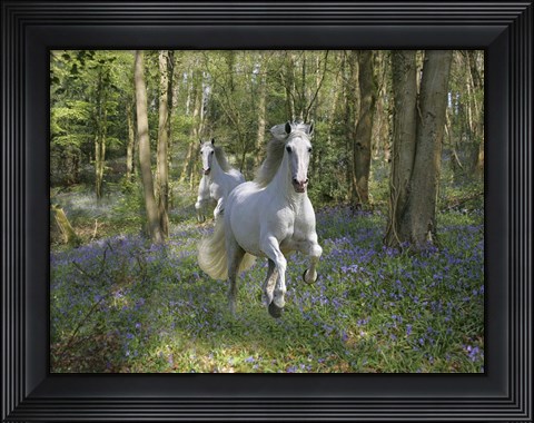 Framed Blue Bell Wood Print