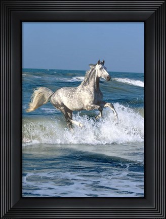 Framed Dapple Sea Print