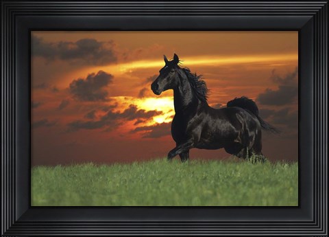 Framed Distant Thunder Print