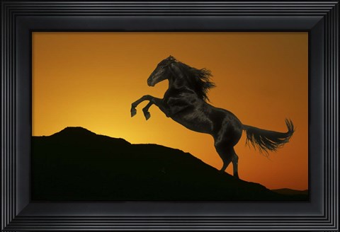 Framed Black Shadow Print