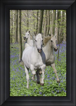 Framed Trio Print