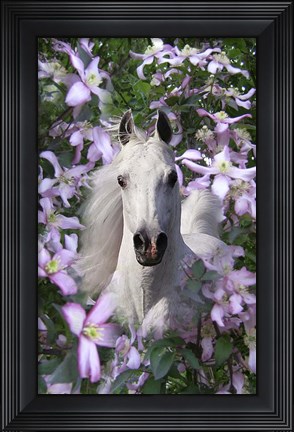 Framed Floral Portrait Print