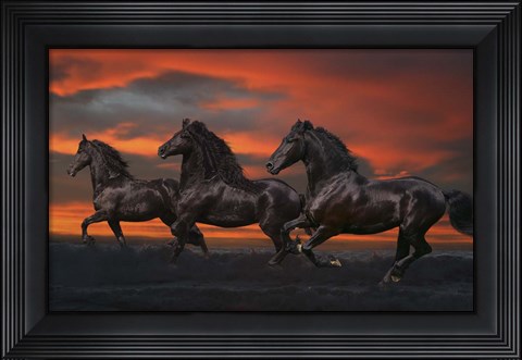 Framed Black Trio Print