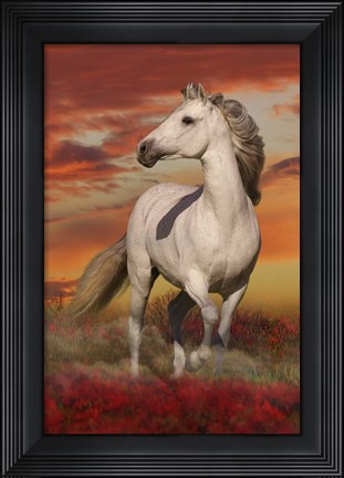 Framed White Stallion Print