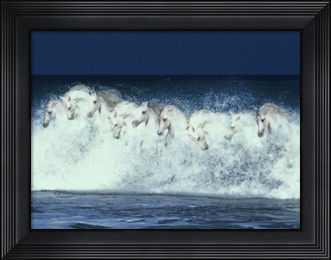 Framed Foam Followers Print