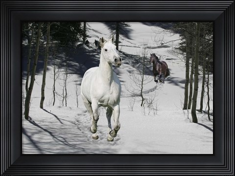 Framed Snow Chase Print