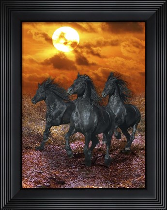 Framed Black Beauties Print
