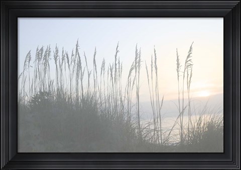 Framed Morning Whisper I Print
