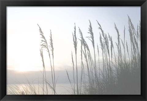 Framed Morning Whisper II Print