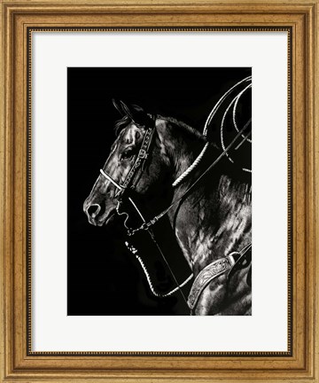 Framed Scratchboard Rodeo V Print