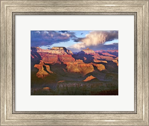 Framed Canyon View III Print