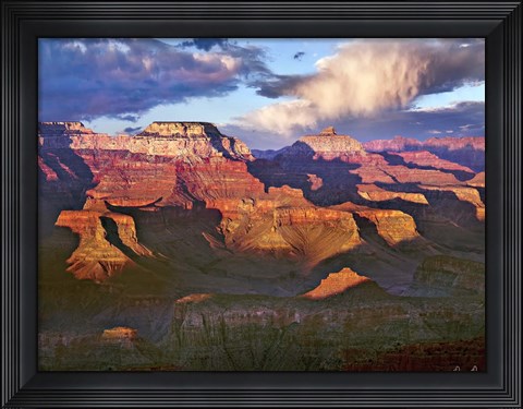 Framed Canyon View III Print