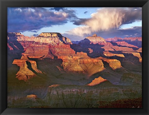 Framed Canyon View III Print