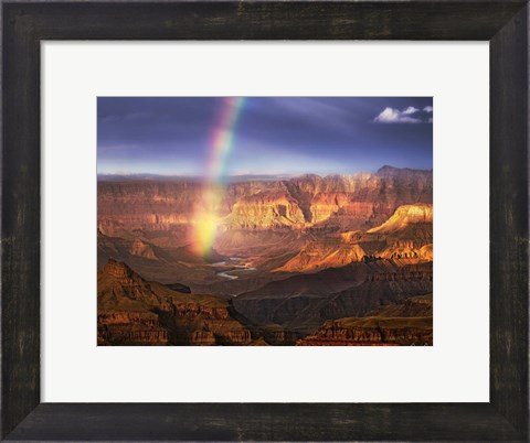 Framed Canyon View IV Print