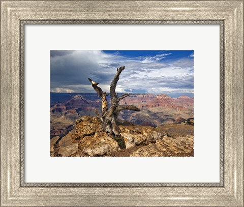 Framed Canyon View V Print