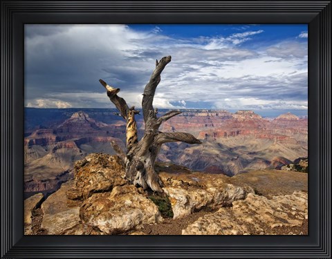 Framed Canyon View V Print