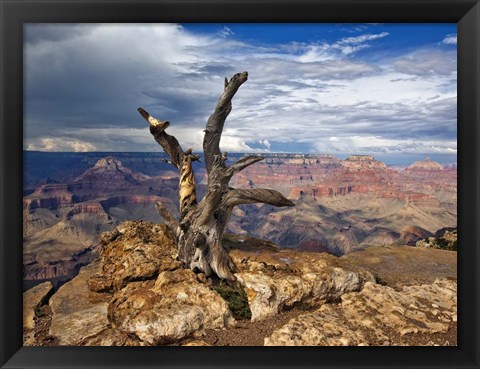 Framed Canyon View V Print