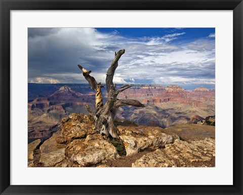 Framed Canyon View V Print