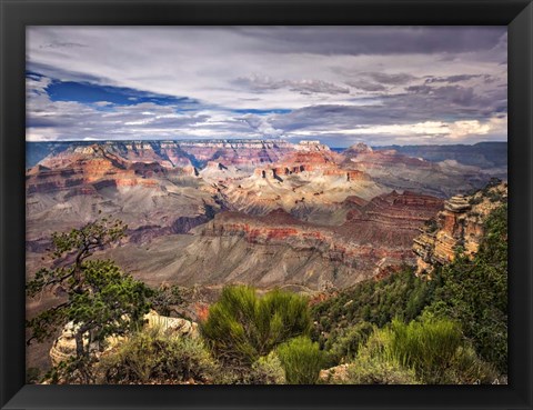 Framed Canyon View VI Print