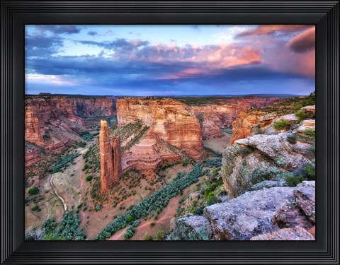 Framed Canyon View VIII Print