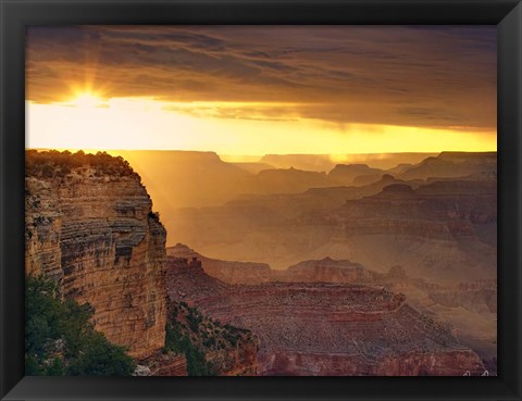 Framed Canyon View IX Print