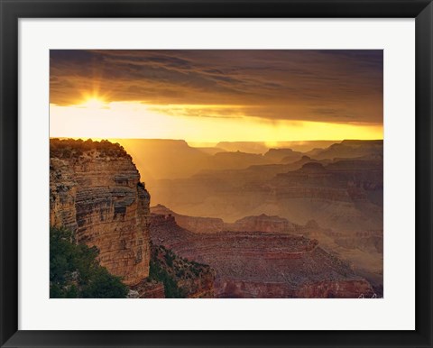 Framed Canyon View IX Print