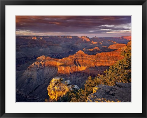 Framed Canyon View X Print