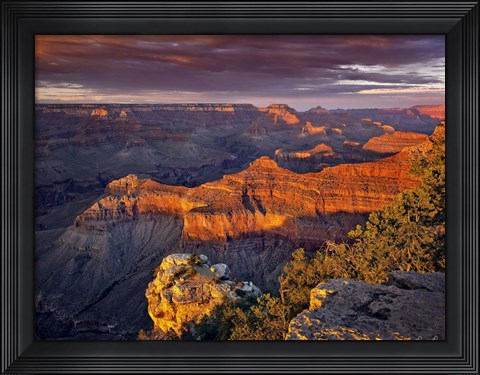 Framed Canyon View X Print