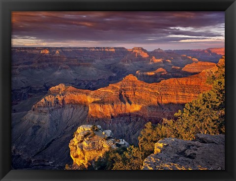 Framed Canyon View X Print