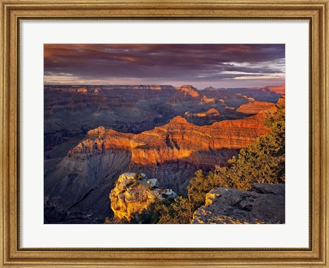 Framed Canyon View X Print