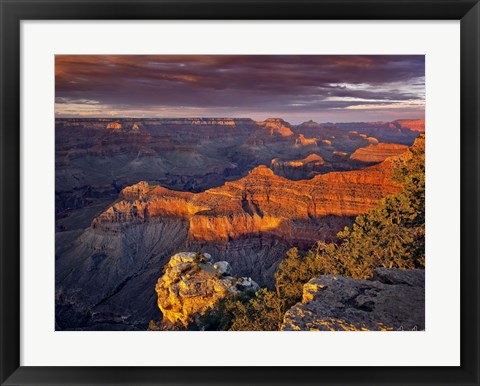 Framed Canyon View X Print