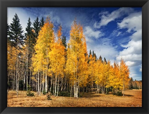 Framed Through the Yellow Trees II Print