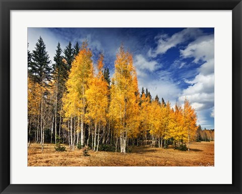 Framed Through the Yellow Trees II Print