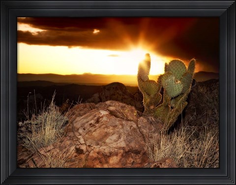 Framed Sunset in the Desert V Print