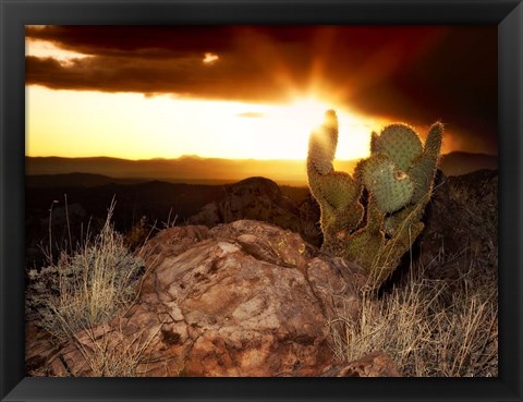 Framed Sunset in the Desert V Print