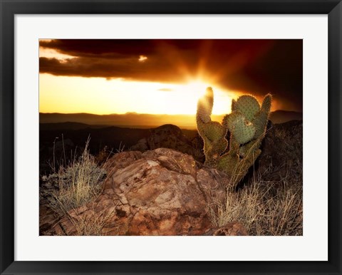 Framed Sunset in the Desert V Print