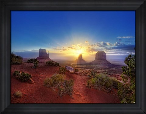 Framed Pink Morning Glory I Print