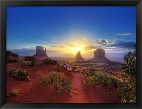 Framed Pink Morning Glory I Print