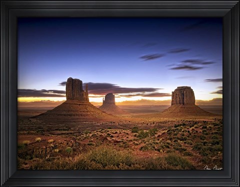 Framed Pink Morning Glory II Print