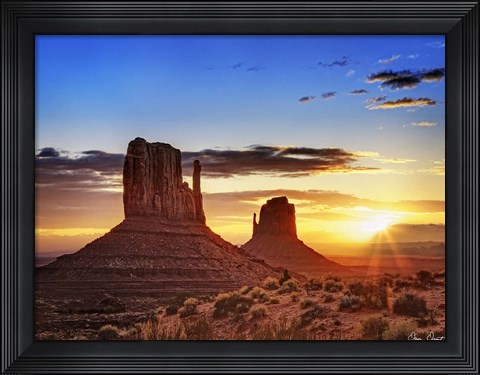 Framed Pink Morning Glory III Print