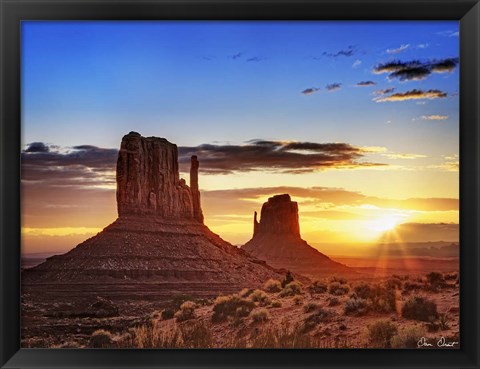 Framed Pink Morning Glory III Print