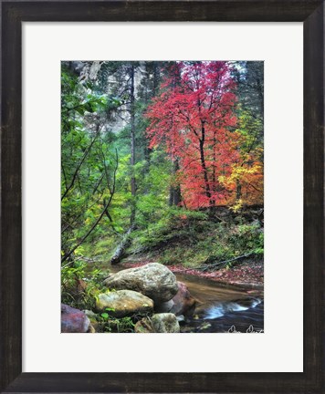 Framed Peaceful Woods II Print