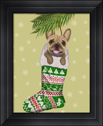 Framed French Bulldog in Christmas Stocking Print
