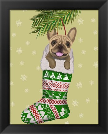 Framed French Bulldog in Christmas Stocking Print