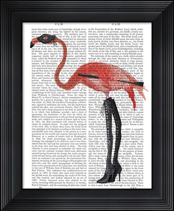 Framed Flamingo with Kinky Boots Print