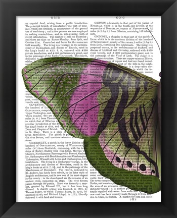 Framed Butterfly in Green and Pink a Print