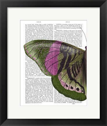 Framed Butterfly in Green and Pink a Print